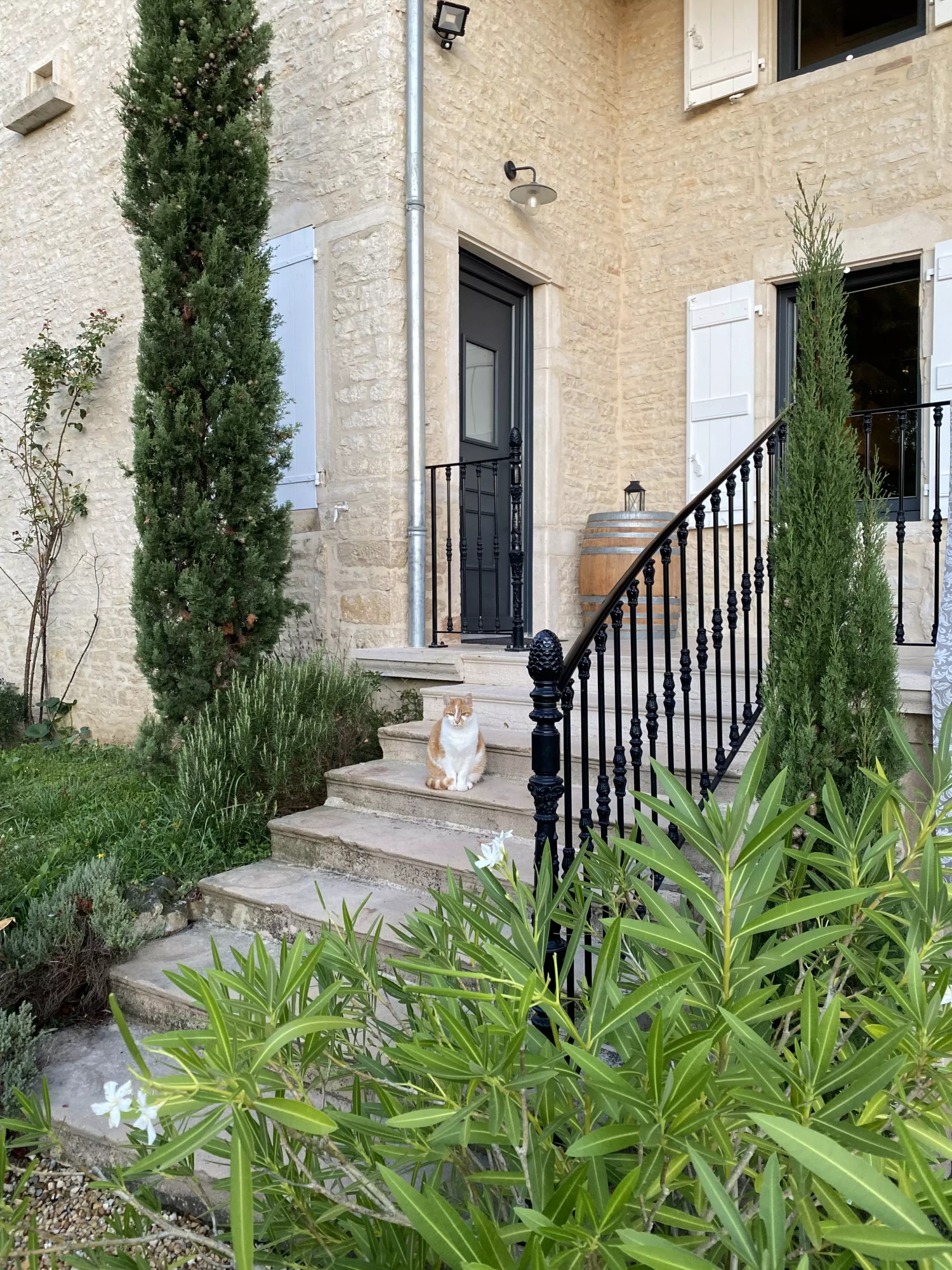 clos-quintaine-domaine-vue-exterieure.jpg 
